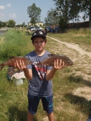 13557902_1051569711545173_2322377346434909365_n