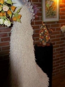 10351096_682131148489033_7870888375366668855_n